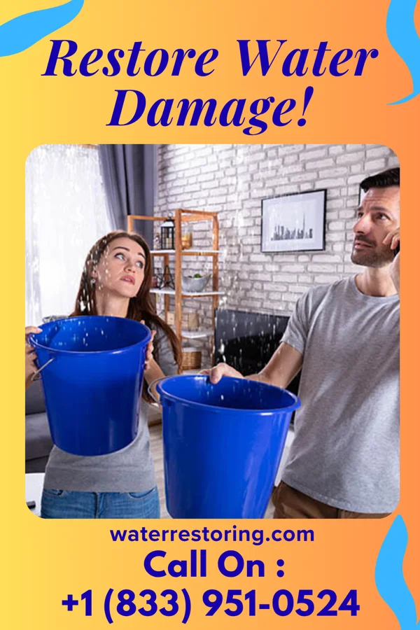 water restoration Local Damage Recovery Inc Mooar