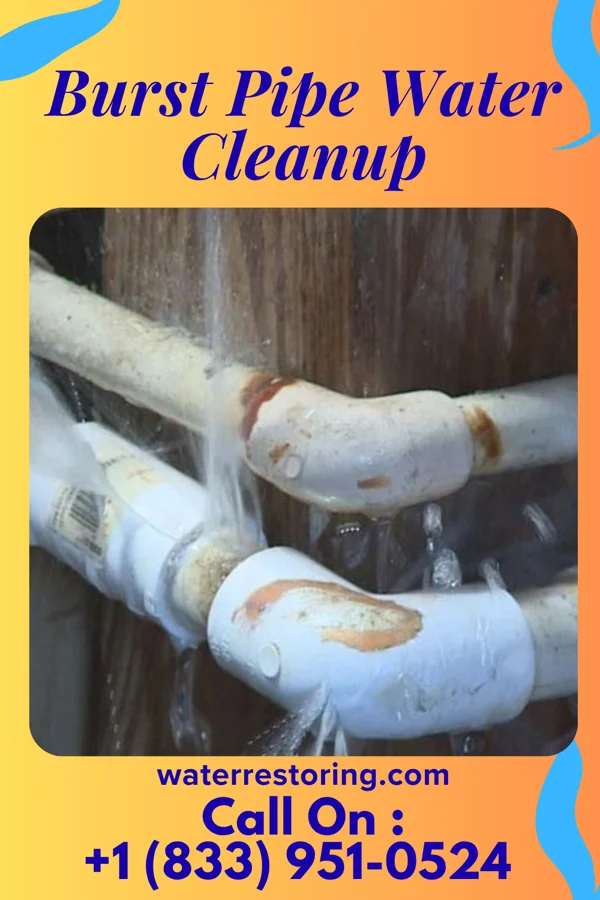 Burst Pipe Water Cleanup in Mooar, IA