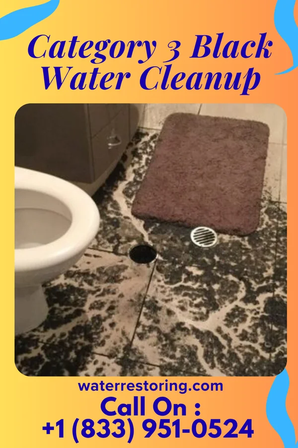 Category 3 Black Water Cleanup in Mooar, IA