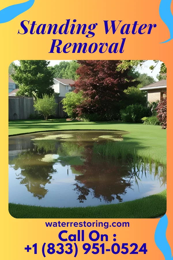 Standing Water Removal in Mooar, IA